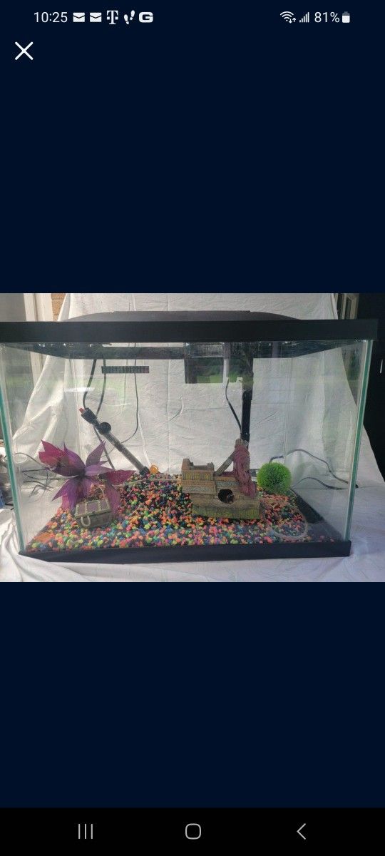 20 Gallon Fishtank Setup