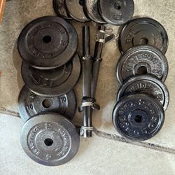 Dumbbells Weights 