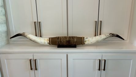 Texas Longhorn Horn Wall Mount Decor