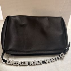 alexander wang purse 👝