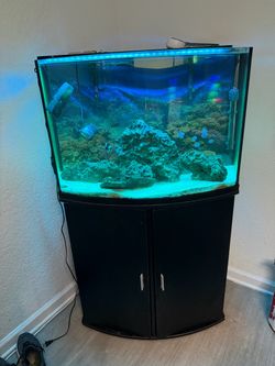 Salt water tank fully equipped 36 gallons