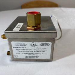 Fire by Design SCG-FS Automatic Ignition System