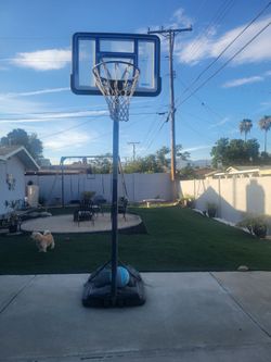 Lifetime Basketball hoop