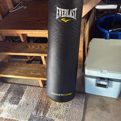 Everlast Punching Bag 