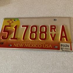 2006  N.M. License Plate  18 Years  Old !!!