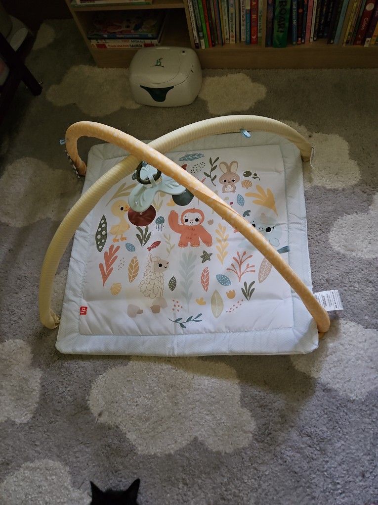 Fisher Price Play Mat