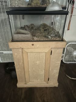 Reptile Set Up