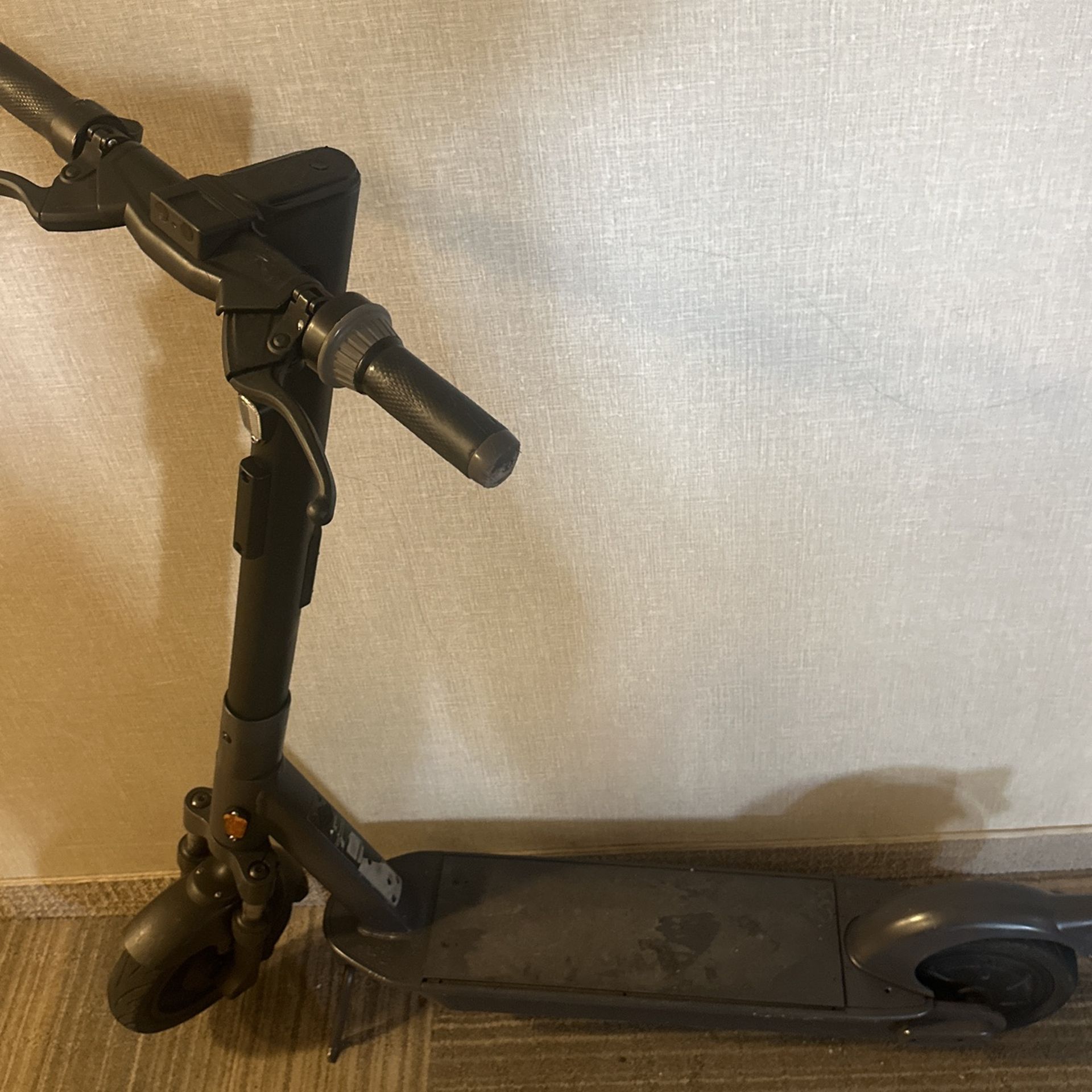 Segway scooter