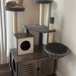 Cat Tree