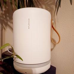 Air Purifier 