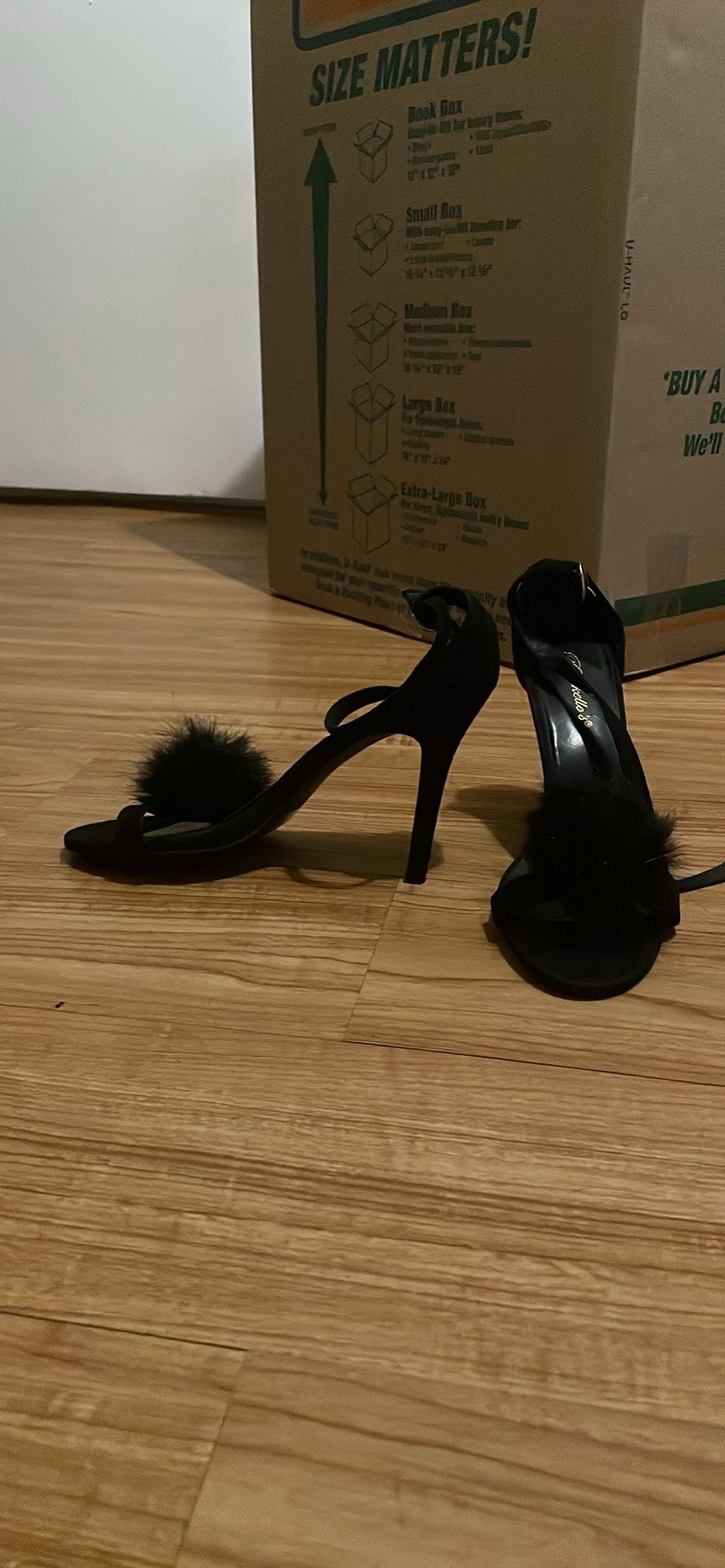 House Bunny