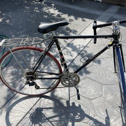 Schwinn World Bike