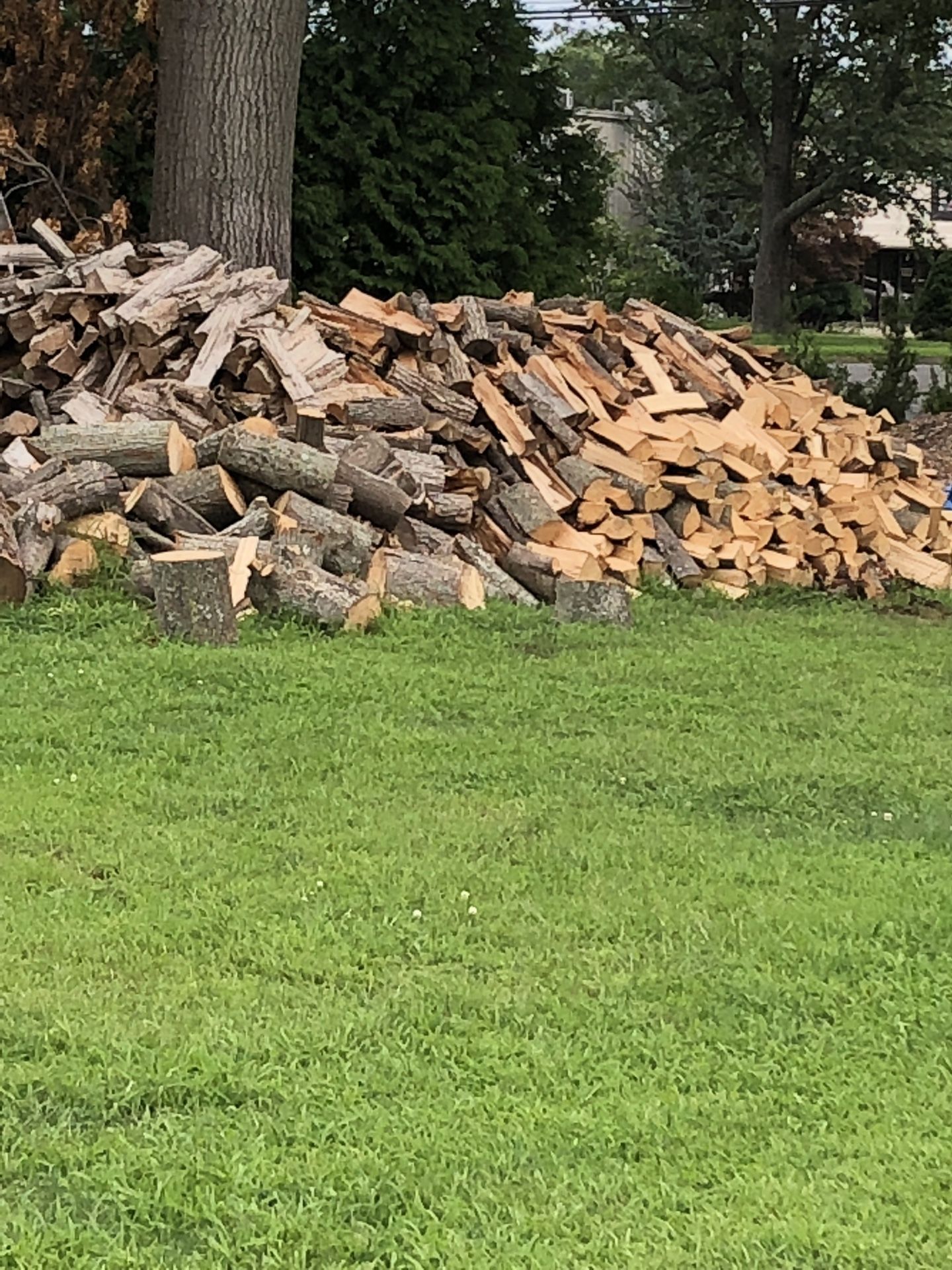 Firewood, cords and 1/2 cords for local delivery