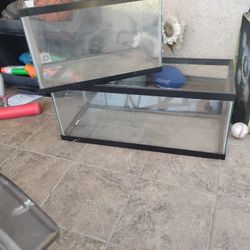 10 And 20 Gallon Fish Tanks