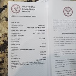 Earrings Diamonds Lap