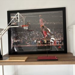 Jordan Figure Dunk McFarlane W/ Hoop Basketball + Picture Frame! Nike Adidas Sneakers Weights Jerseys Knicks Bike Scooter Carhartt Yankees Mets 