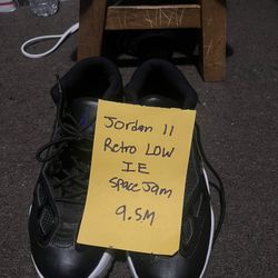 Jordan 11 Retro Low IE Space Jam