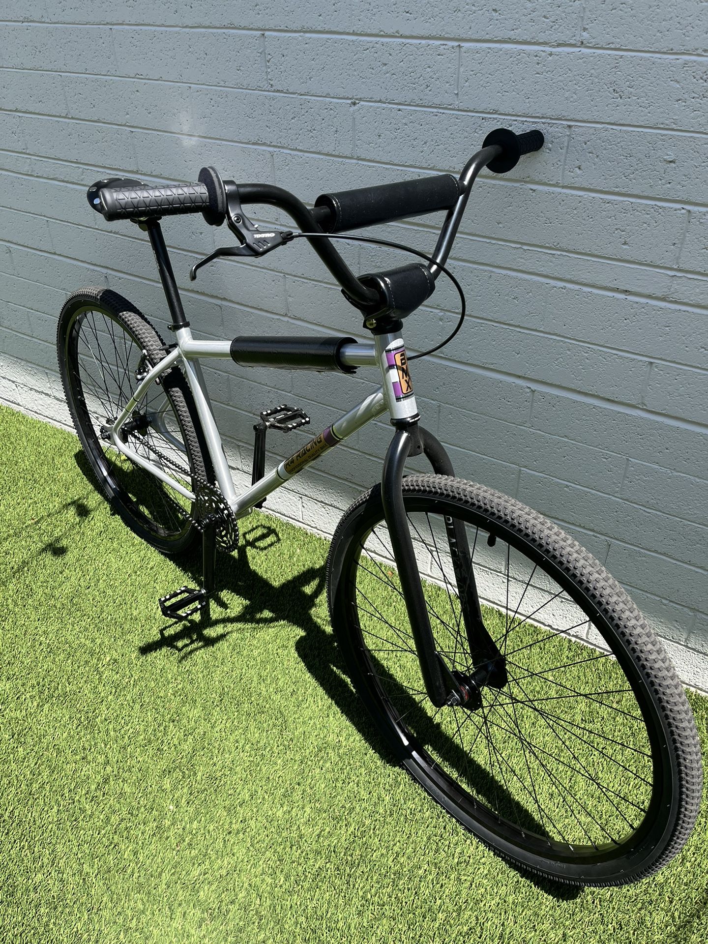 R4 Products 29” BMX 29er