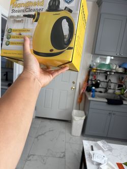 steam cleaner