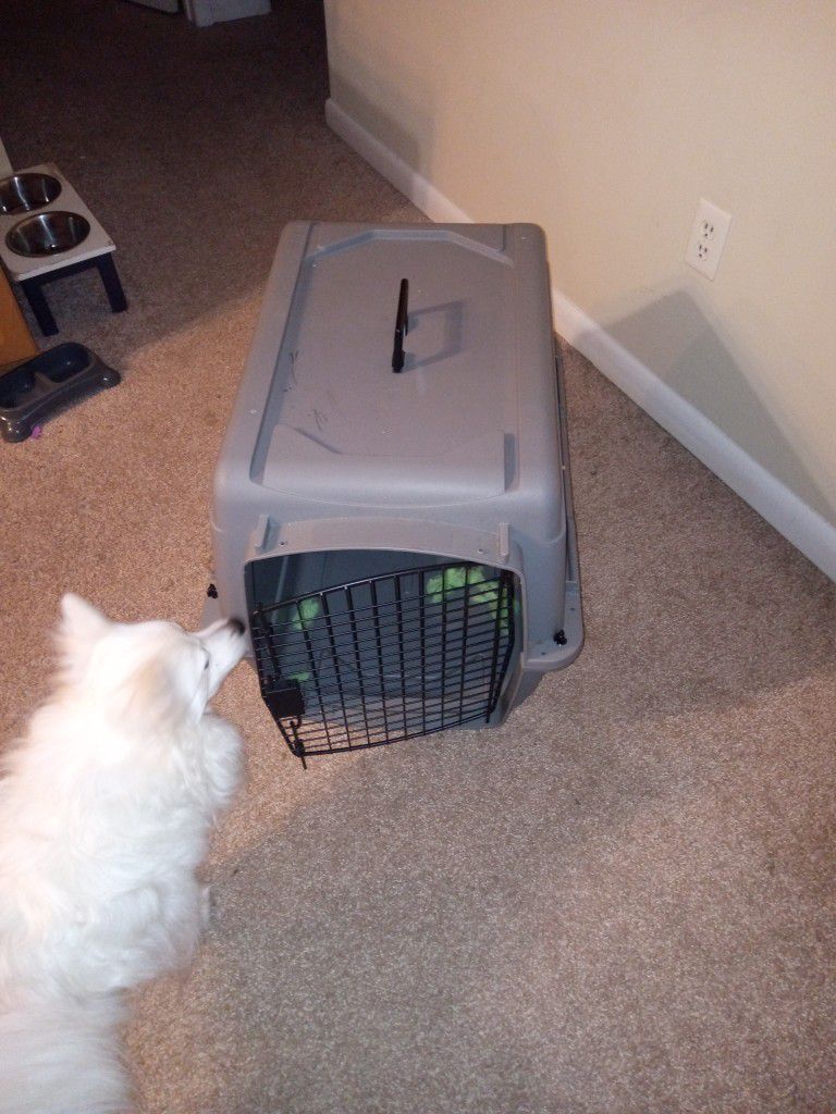 26 Inch Pet Crate Like New