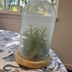Decorative Glass Cloche with Faux Succulent