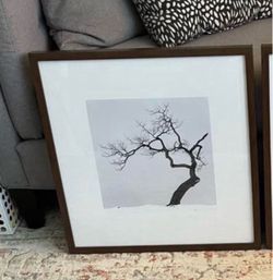 IKEA ~ RIBBA 20x20 Picture Frame #14743 in excellent condition