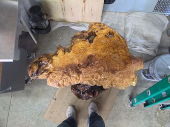 Burl table