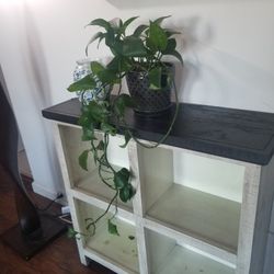 Shelf Bookcase