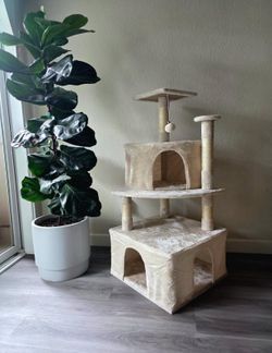 Brand New 47’ Cat Tree Beige Half Off Sale!!!!
