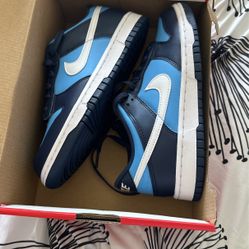 Brand new Nike Dunks