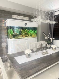 125 Gallon Fish Tank