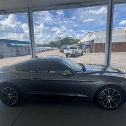 Mustang Wheels (rims and tires)