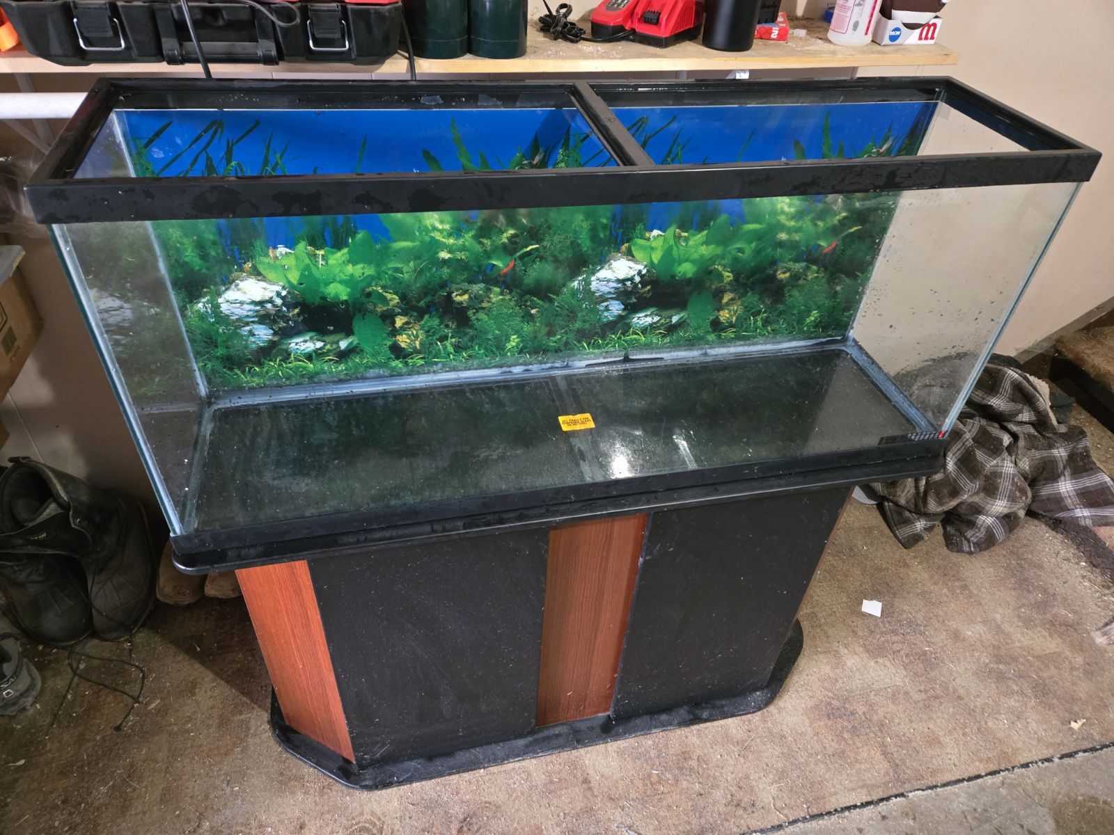 50 Gallon Fish Tank 