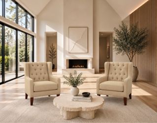(Set of 2) Accent Chairs