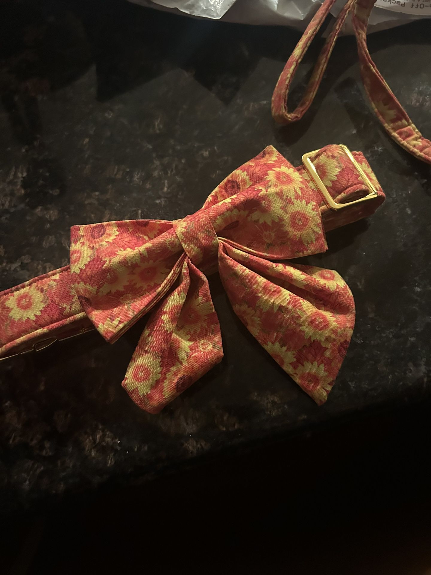 Matching Floral Leash And Collar