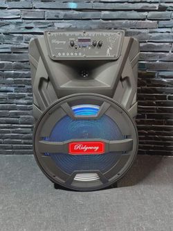 🔊✨ Ridgeway QS-8510 – 15” Party & Karaoke Speaker ✨