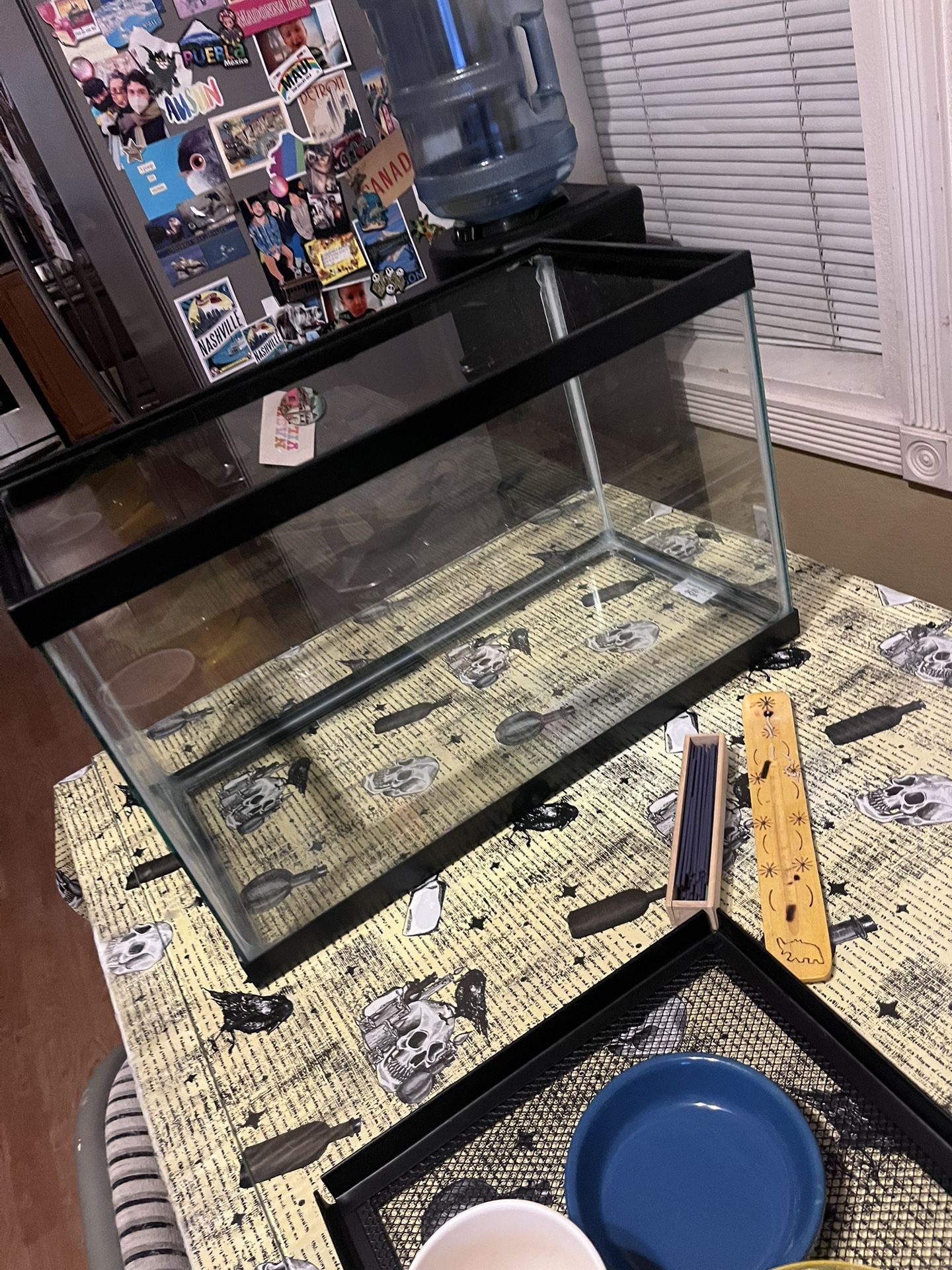 10 Gallon Tank