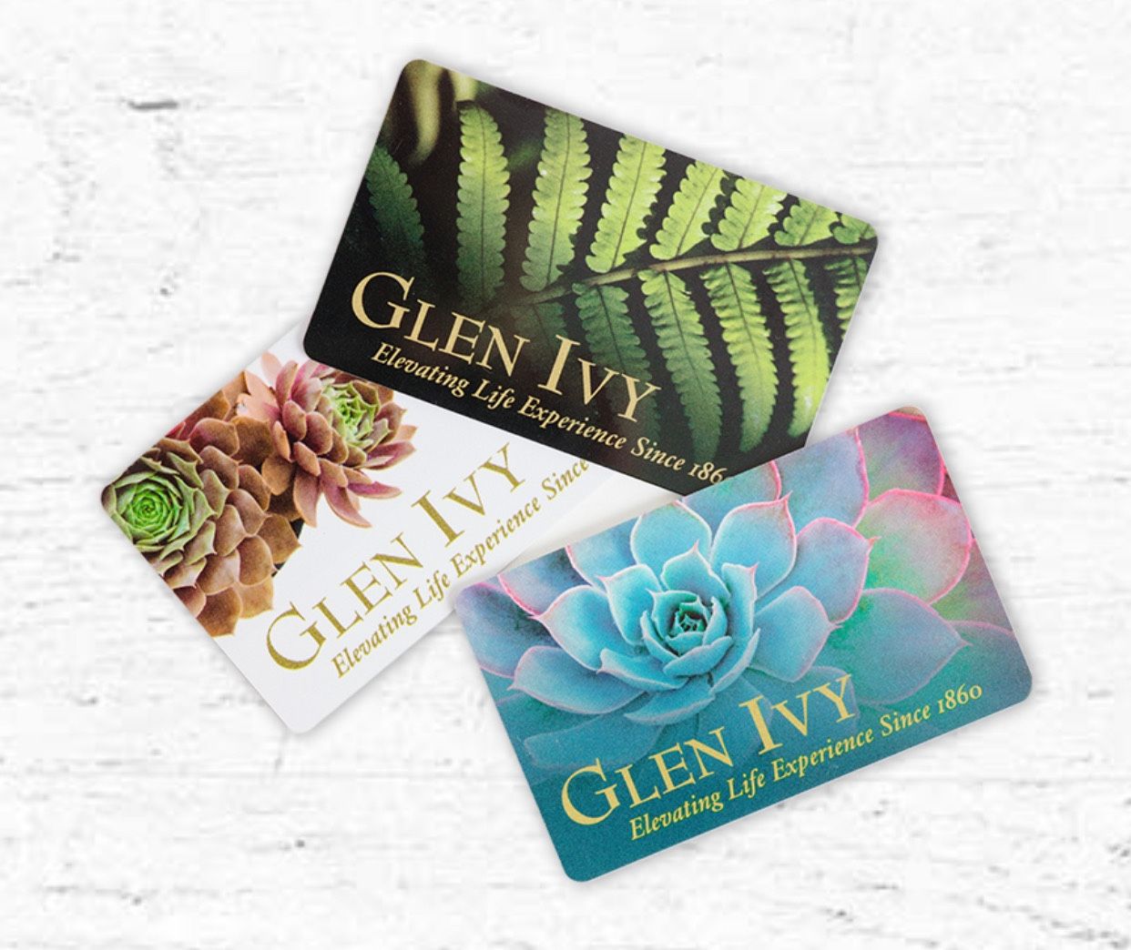 Four $100 Glen ivy tickets