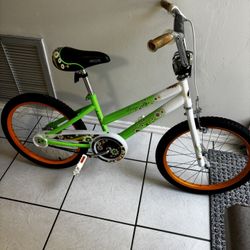 Bike 20 Inches 