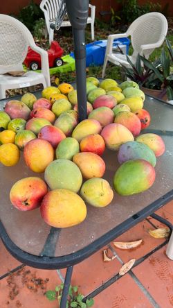 Mangoes