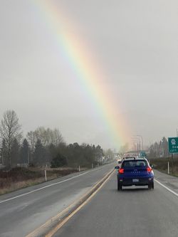 Need ELECTRICAL Recling couch