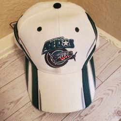 vintage Houston Aeros Hockey Team hat 