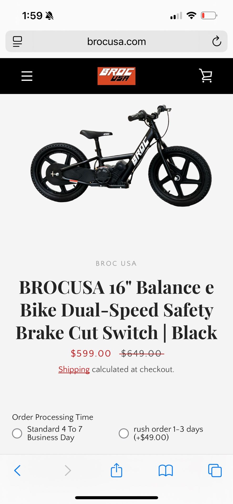 New Electric Kids Bike