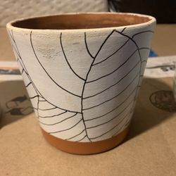 Plant Pot 