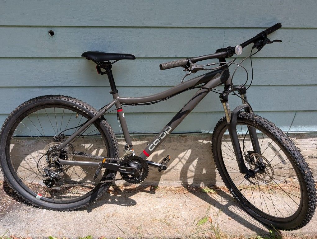 Two REI Dirt 1.1 Bikes For Sale + Free Bike Rack