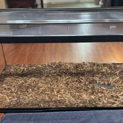 Reptile Enclosure Habitat Tank 
