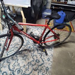Giant Bike