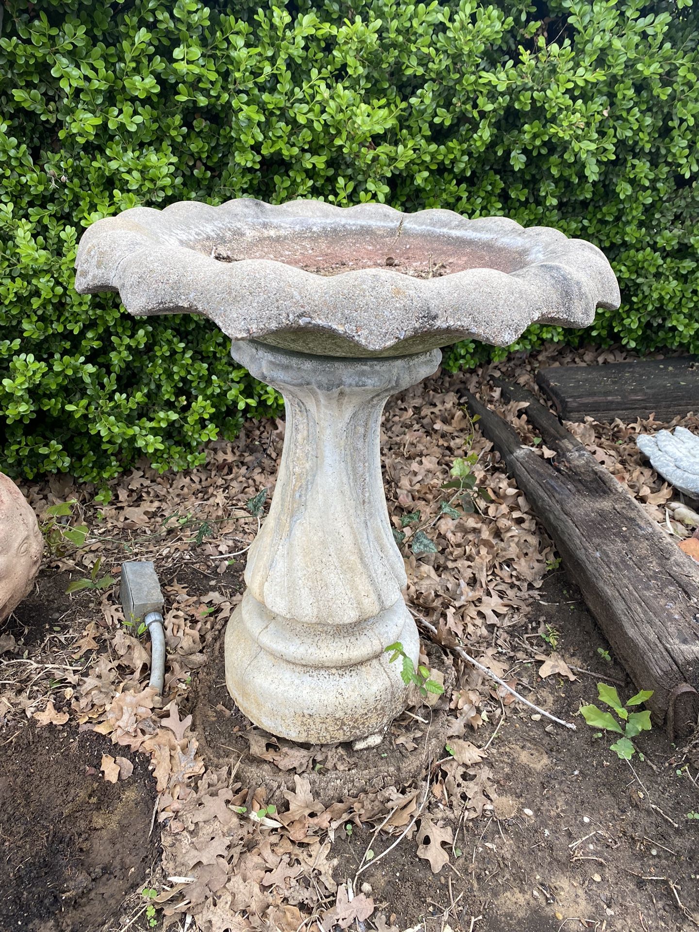 Bird Bath