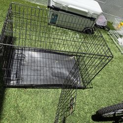 Dog Kennel