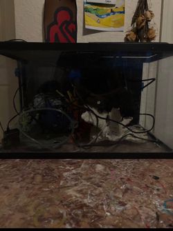 10 gallon tank with everything Included expect coral rock sold separately